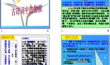 看云识天气气象谚语