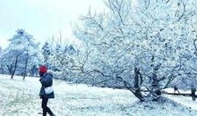 描写雪美的诗句