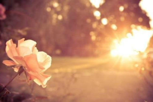 幻想生活不算数，需要行动才能知道深度