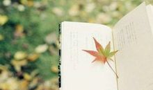 终日愁眉不展，不如看淡得失，学会放下