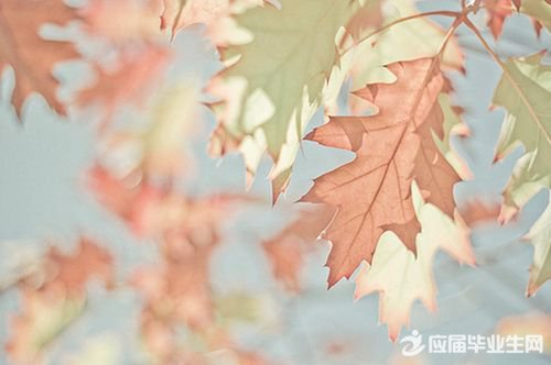 小木匠寓言作品