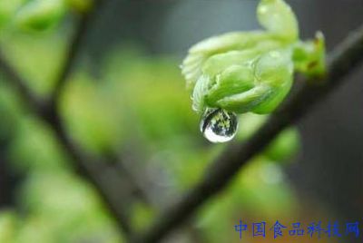 多雨的太阳谚语