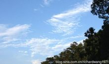 描写雨后天晴的句子