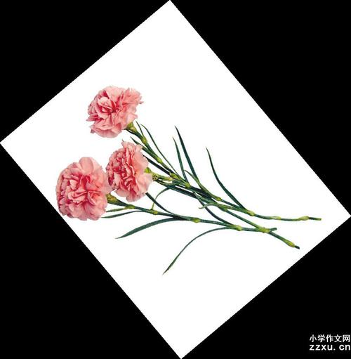 生病的女儿的祝福