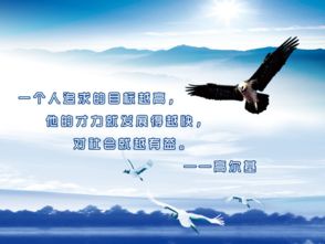 大学生创业行情