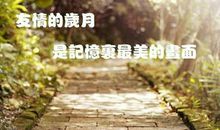 唯美的句子关于友情：友情淡雅，却很珍贵，距离遥远，依然惦念