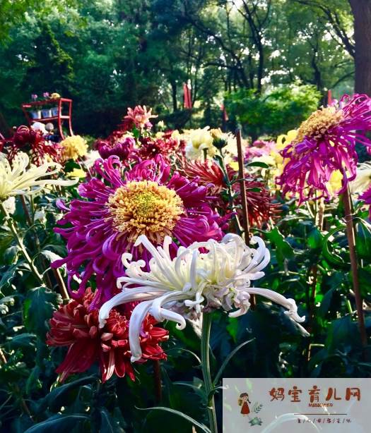 关于晨练的句子