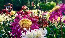 关于晨练的句子