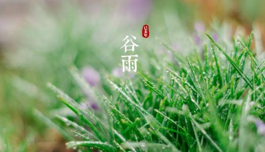 关于谷Yu的农业谚语