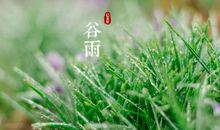 有关谷雨的农业谚语