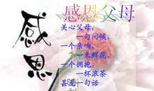 感恩父母的一句话简短