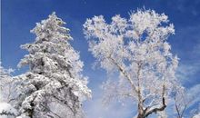 描写冬季景色诗句