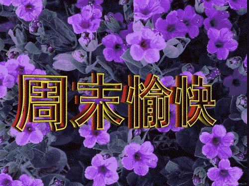 2019客户周末祝短信