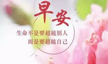 描写夏日清晨的句子