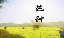 芒种节气谚语大全