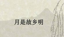 描写思乡情怀的诗句