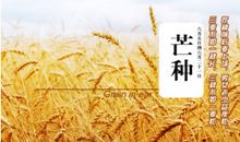 芒种的谚语英语