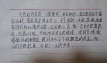 描写城市清晨的句子