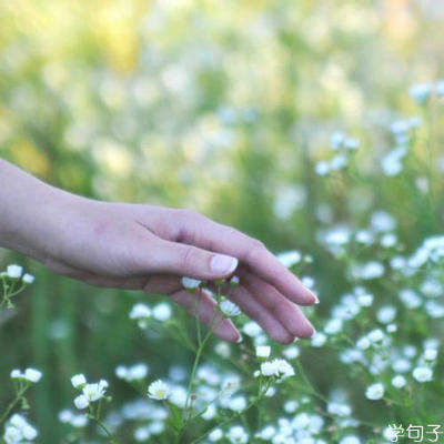 愿一切都美好美好的句子【精选21个句子】1