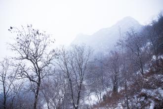 句子描述山上的雪景