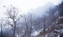 描写山中雪景的句子