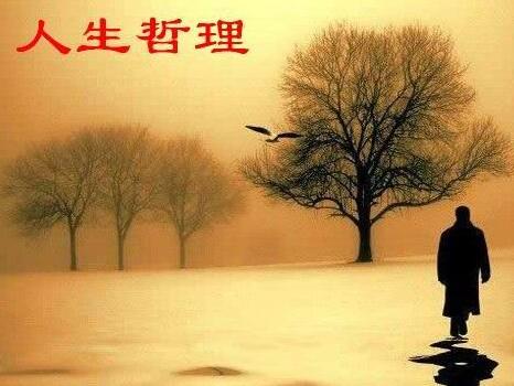 2015年最富哲理的句子