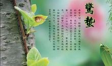 关于雨水的谚语