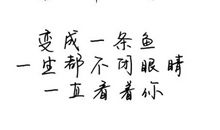 描写青春友谊的句子