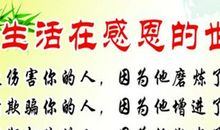 描写团结的唯美句子