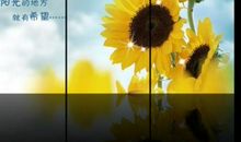 2019美到心痛的句子