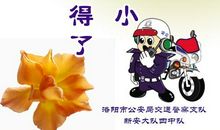 霸气服务口号大全