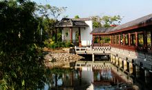 描写雨后的晴天的句子