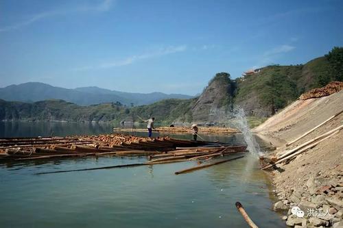 关于木行​​横渡急流的寓言