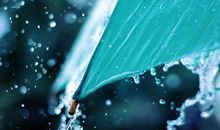 有关冬雨的句子