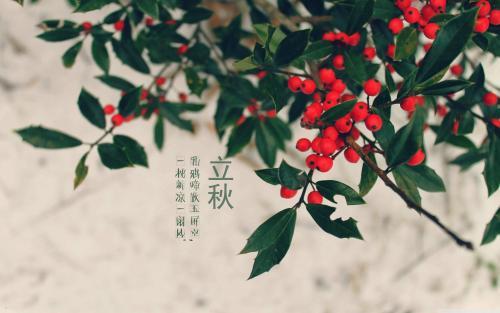 今天立秋的祝福