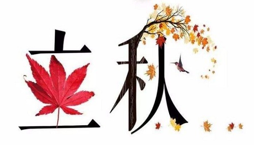 关于李秋的谚语