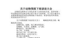 关于脸的歇后语