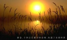 描写清晨的句子大全