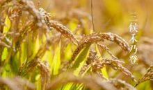 初秋给朋友祝福语