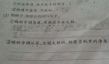 不慌不忙造句大全