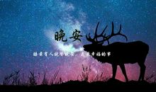 有关晚安的唯美句子