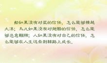 形容信任的句子