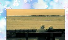 当你老了经典句子