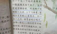 比喻句葡萄像什么