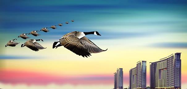 简单的销售口号