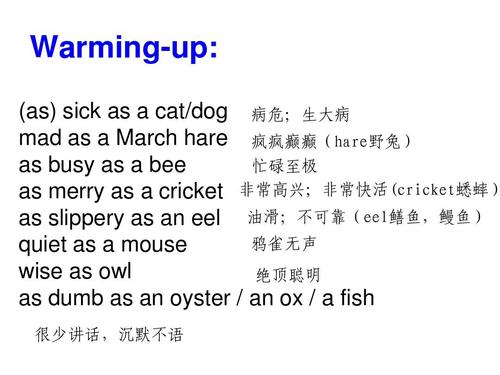 关于微笑的英语谚语