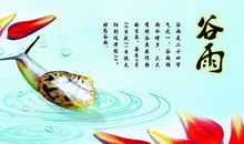 谚语谷雨