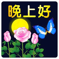 晚安祝句子