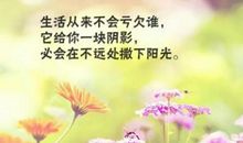 正能量唯美励志的句子