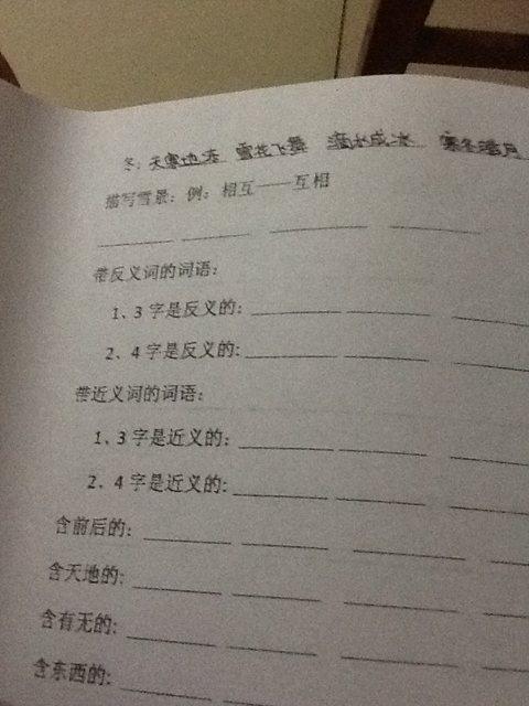 200个单词描述雪景